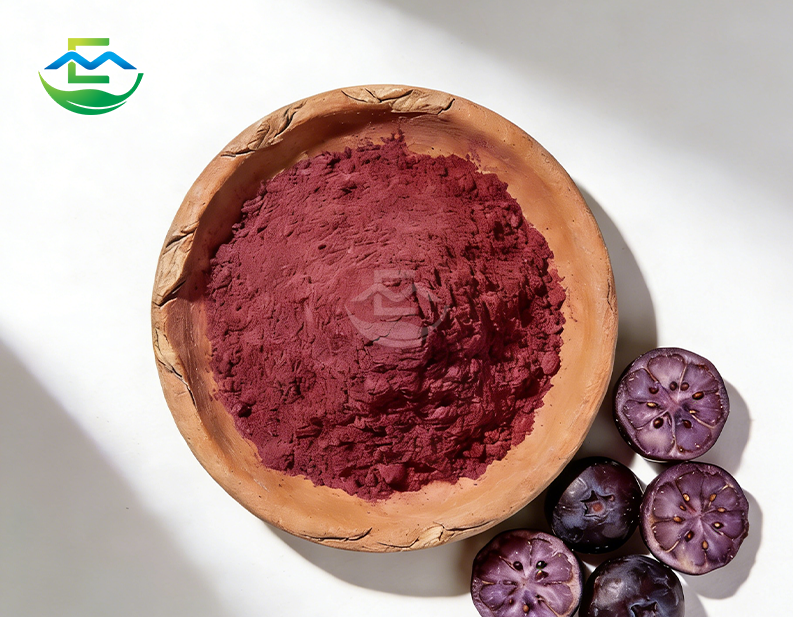 Blue Berry Juice Powder